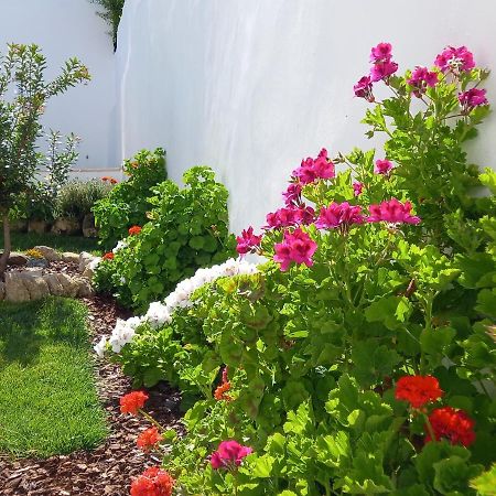 Pateo Dos Oliveira - Casa Dos Senhores Evora Bagian luar foto