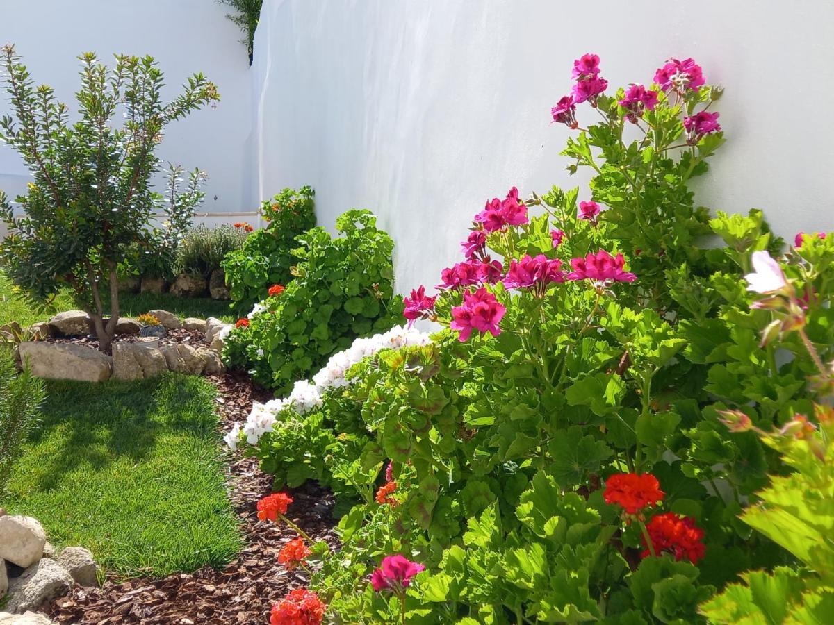 Pateo Dos Oliveira - Casa Dos Senhores Evora Bagian luar foto